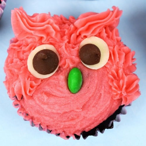 Owl Cupcakes Baking Kit