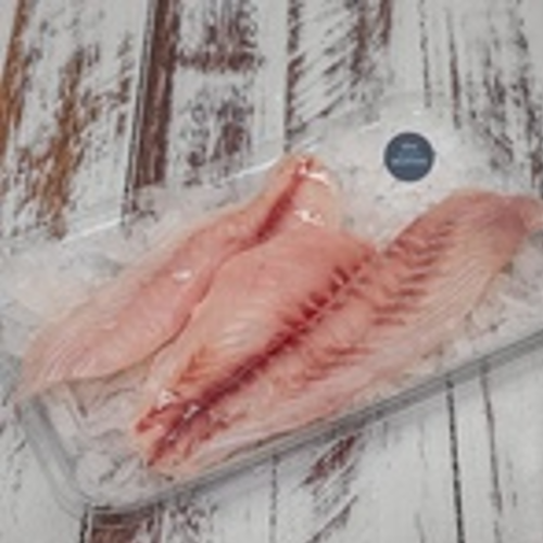 Fresh Fish Snapper per kg