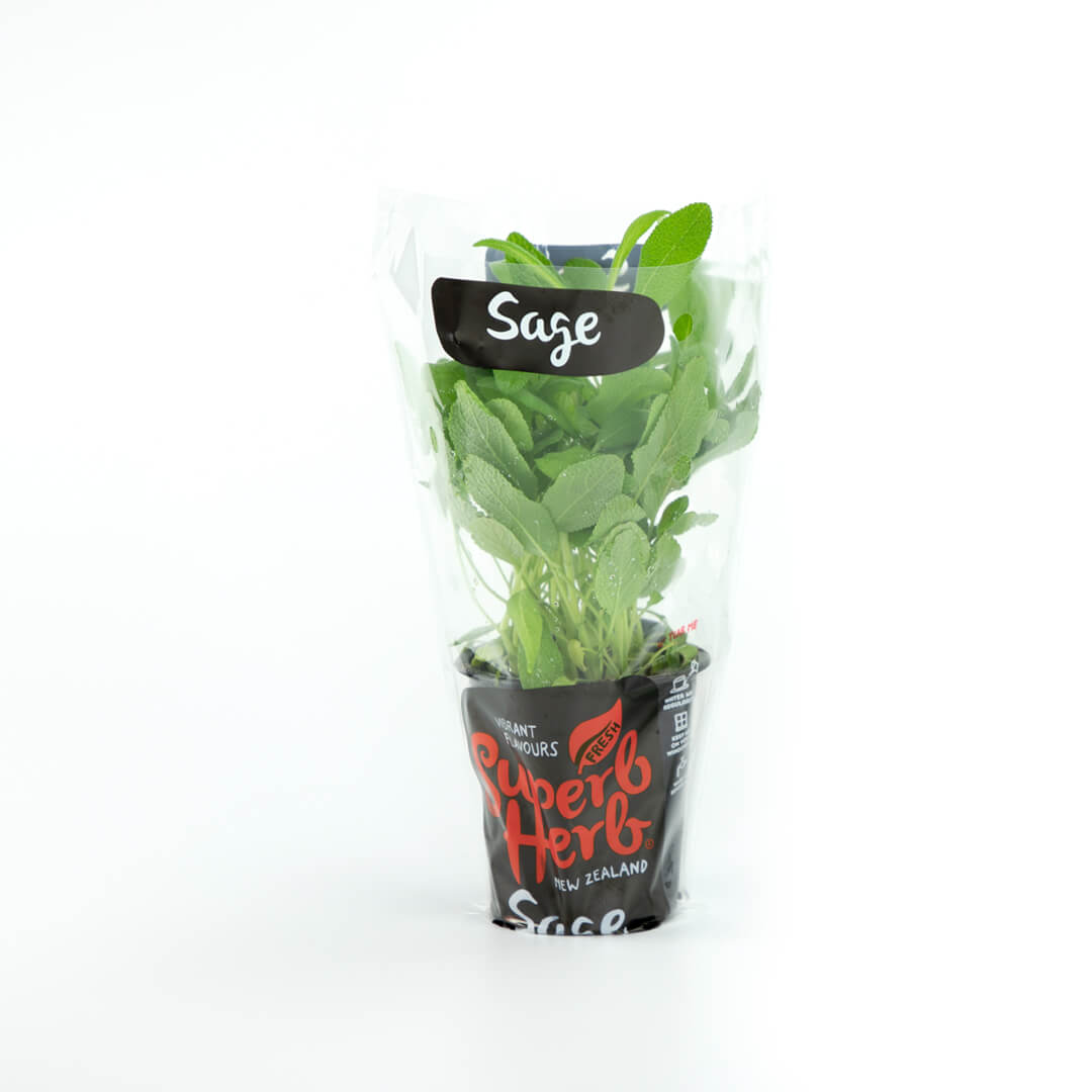 Superb Herb Sage - Pot