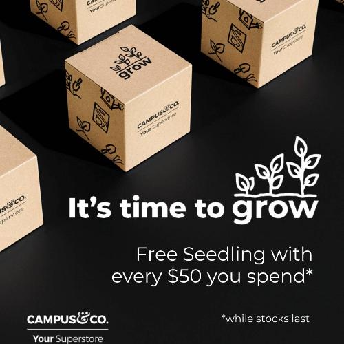 C&C Spring Grow Kits