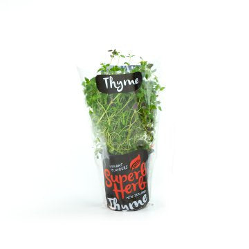 Superb Herb Thyme - Pot