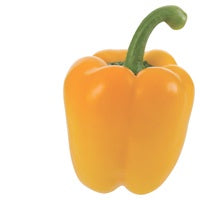 Capsicum Yellow each