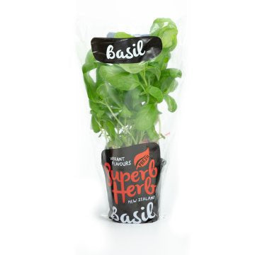 Superb Herb Basil - Pot Small
