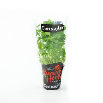 Superb Herb Coriander - Pot Small