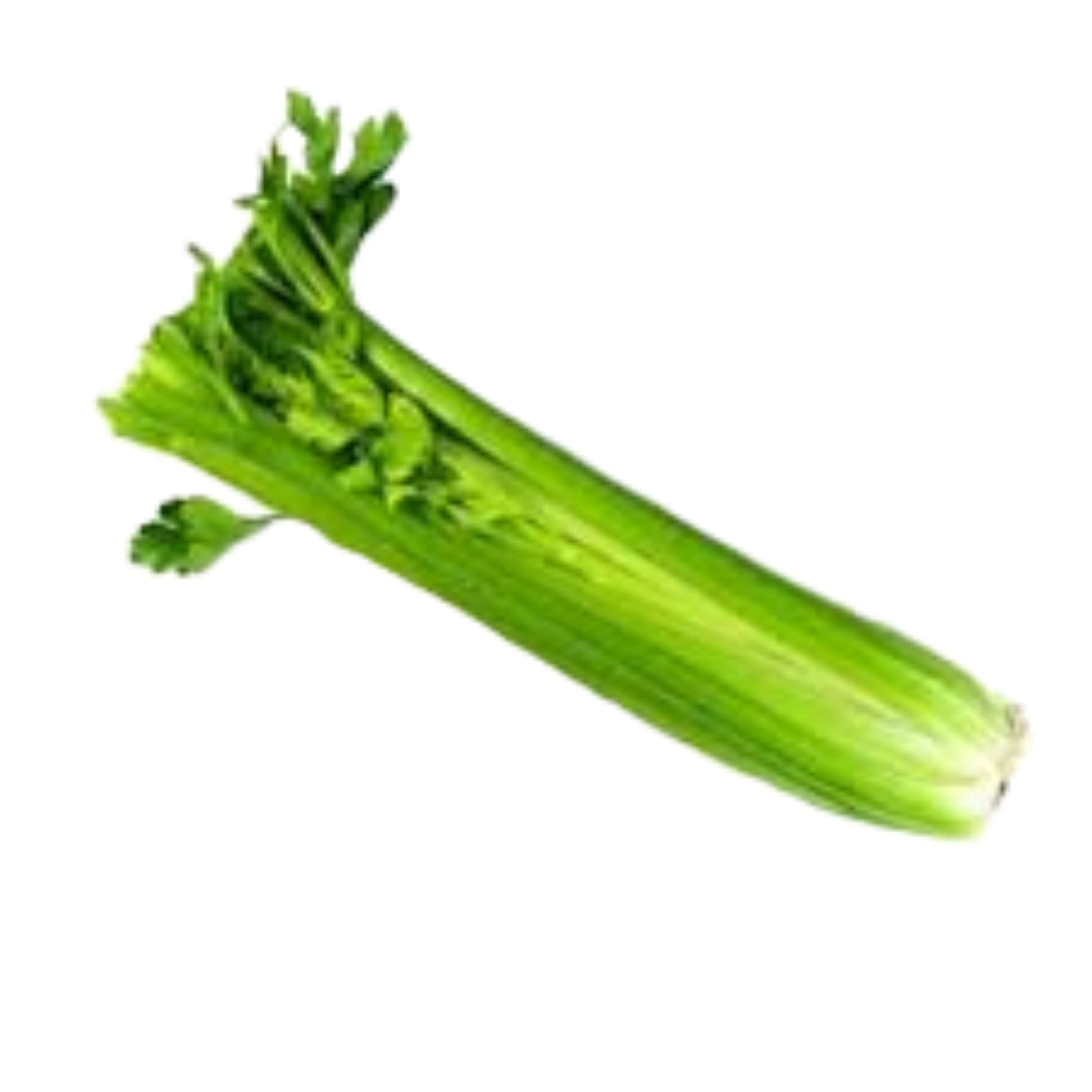 Celery - Half (CP)
