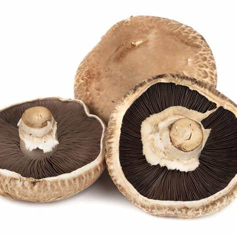 Mushrooms Portabello per kg